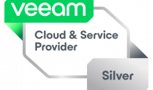 VCSP_silver_color_rgb